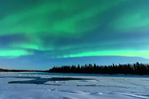 Silhouette of frozen snowy forest under the bright sky with Northern Lights, Levi, Kittila, Lapland, Finland