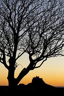 Lindisfarne Prints: Silhouette of Lindisfarne Northumberland, England