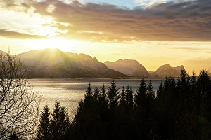 Back Lit Prints: Silhouette of trees overlooking a fjord lit by sun rays, Senja, Troms county, Norway