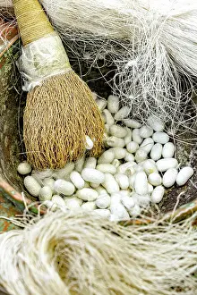 Silk Prints: Silkworm cocoons for carpet making