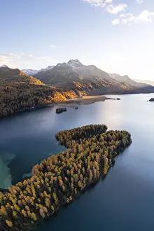 Sils Prints: Sils Lake and peninsula at sunset with Piz da la Margna in autumn