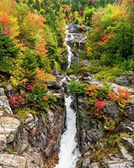 Autumn Leaf Prints: Silver cascade in autumn, White Mountain National Forest