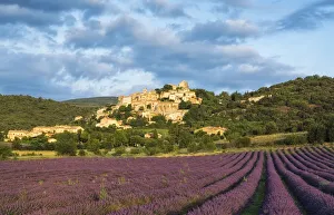 Rows Prints: Simiane la Rotonde, Provence, France