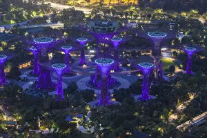 Images Dated 23rd October 2015: Singapore, elevated view of the Gardens By The Bay, Super Tree Grove, dawn