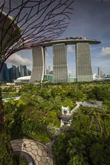 Images Dated 23rd October 2015: Singapore, Gardens By The Bay, Super Tree Grove, elevated walkway view with the Marina