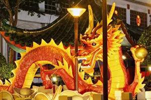 Images Dated 11th June 2012: Singapore, New Bridge Road, Chinatown, Chinese New Year Celebrations