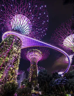 Singapore, Singapore City, Gardens by the Bay, Supertrees, & Marina Bay Sands