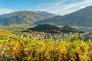 Valais Prints: Sion and surrounding vineyards, Rhone Valley, Valais, Switzerland