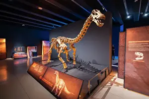 Artwork Prints: Skeleton of Neuquensaurus dinosaur at exhibition in CaixaForum Madrid in Paseo del Prado