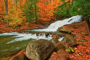 Seasons Gallery: The Skeleton River at Hatchery Falls in autumn Rosseau Ontario, Canada