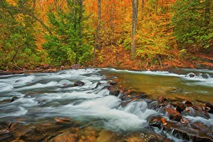 The Skeleton River at Hatchery Falls in autumn Rosseau, Ontario, Canada