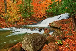 Central Canada Prints: The Skeleton River at Hatchery Falls in autumn Rosseau Ontario, Canada