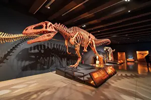 Artwork Prints: Skeleton of Tyrannotitan dinosaur at exhibition in CaixaForum Madrid in Paseo del Prado