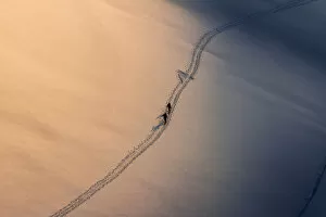 Ski mountaneering at sunset on a snowy field. Adamello glacier, Lombardy, Italy
