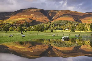 Skiddaw mountain illuminated in golden sunlight, reflected in a flooded field, Keswick