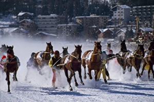 Speed Prints: Skijoring
