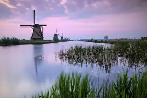 Canal Prints: Sky is tinged with purple at dawn on the windmills reflected in the canal Kinderdijk