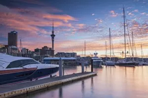 Images Dated 2nd January 2014: Sky Tower and Viaduct Harbour at sunset, Auckland, North Island, New Zealand