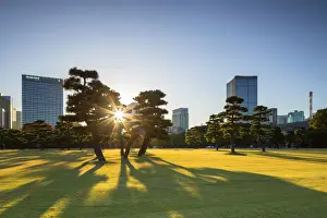 Grounds Prints: Skyscrapers of Marunouchi and gardens of Imperial Palace at sunrise, Tokyo, Japan