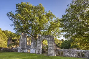West Sussex Prints: Slaugham Abbey Ruin, West Sussex, England