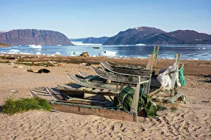 Settlement Prints: Sledges and dogs on the beach