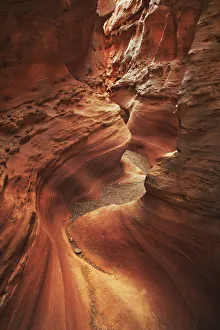 Erosion Landscape Prints: Slot canyon Little Wildhorse Canyon - USA, Utah, Emery, Little Wildhorse Canyon