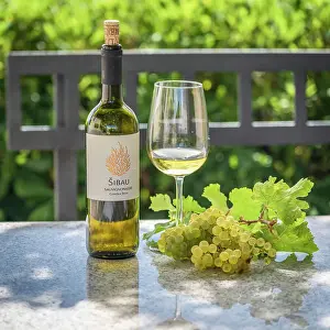 Wine Producer Prints: Slovenia, Brda. A tasting of the local wine in a beautiful landscape
