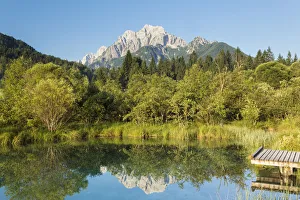 Gorenjska Prints: Slovenia, Gorenjska Region, Triglav National Park. Zelenci Swamps near Kranjska Gora