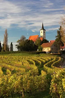 Tim Mannakee Prints: Slovenia, Prlekija, vineyards surrounding the Church of the sorrowful Mother of God