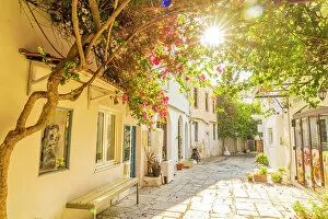 Images Dated 10th January 2023: A small alley in Kos Town, Kos, Dodecanese Islands, Greece