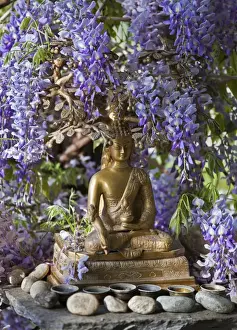Old Building Prints: A small Buddha shrine surrounded by wisteria in the Hotel Gangtey Palace