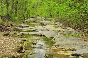 Runoff Prints: A small creek with low water. Buffalo National River- Lost Valley trail, Arkansas, USA