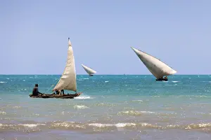 Dhow Prints: Three small dhows are out fishing near the coast, Zanzibar, Tanzania