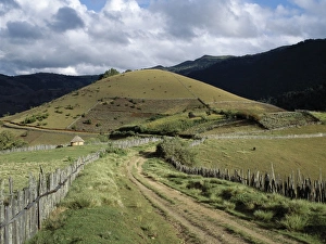 A small dirt road winds its way through fine farming