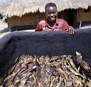 Traditional Methods Prints: Small fish caught in Lake Albert are hot-smoked before