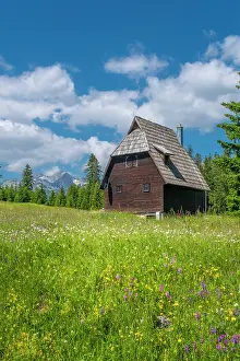 Montenegro Prints: Small house in the Durmitor National Park, Montenegro