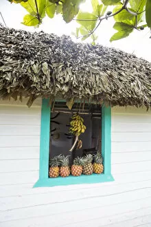 Images Dated 16th February 2015: Small hut selling fruit, Vinales, Pinar del Rio Province, Cuba