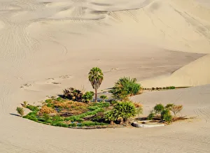 Images Dated 8th November 2017: Small Oasis near Huacachina, Ica Region, Peru