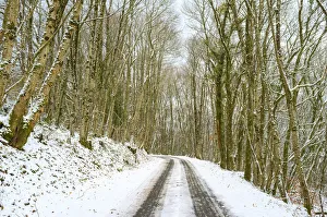 Limousin Prints: A small road through snow-covered forest in winter, La Creuse, Limousin, France