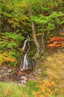 Nova Scotia Prints: Small roadside waterfall on Cape Breton, in autumn, Cape North, Nova Scotia, Canada