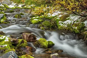 Flowing Water Prints: A small stream with fresh snow, Spray Lake Provincial Park, Alberta, Canada