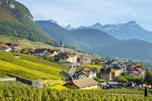 Small Town Prints: Small town of Yvorne surrounded by vineyards, Vaud Canton, Switzerland