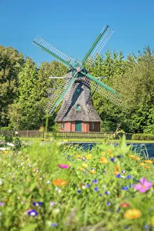 Mill Prints: Small mill in the village of Schortens, Oldenburger Land, Lower Saxony, Germany