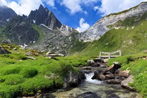 Ticino Prints: Small wood brige under Pizzo Prevat mount near Capanna Leit, Valle Leventina, Canton