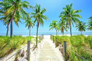 South Prints: Smathers Beach, beautifully framed by Palm Trees Key West, Florida, USA