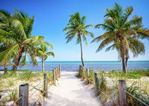 Open Prints: Smathers Beach framed by Palm Trees Key West, Florida, USA