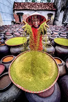 Factory Prints: Smiling woman showing soybeans in soy sauce production, Hanoi, Vietnam. (MR)