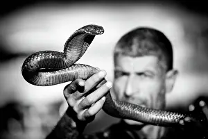 Marrakech Prints: Snake charmer holding his cobra, Djemma el Fna, Marrakech, Morocco