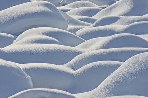 Shape Prints: Snow-covered Boulders, Jasper National Park, Alberta, Canada
