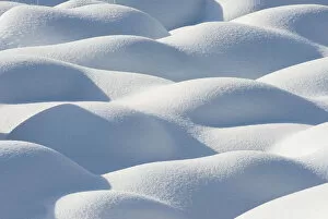 White Gallery: Snow-covered Boulders, Jasper National Park, Alberta, Canada